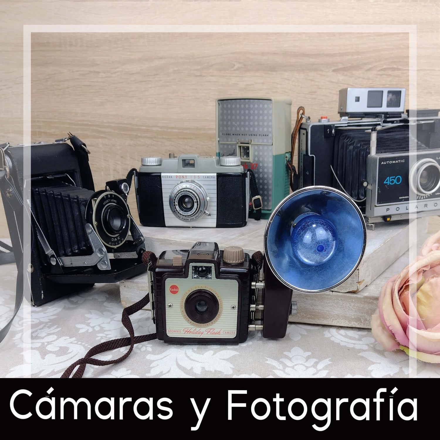 Cámaras y Fotografía