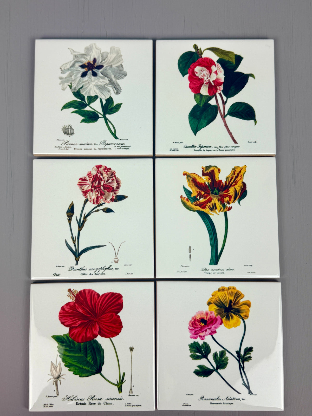 Set de azulejos  "Flores de París" de Pancrace Bessa