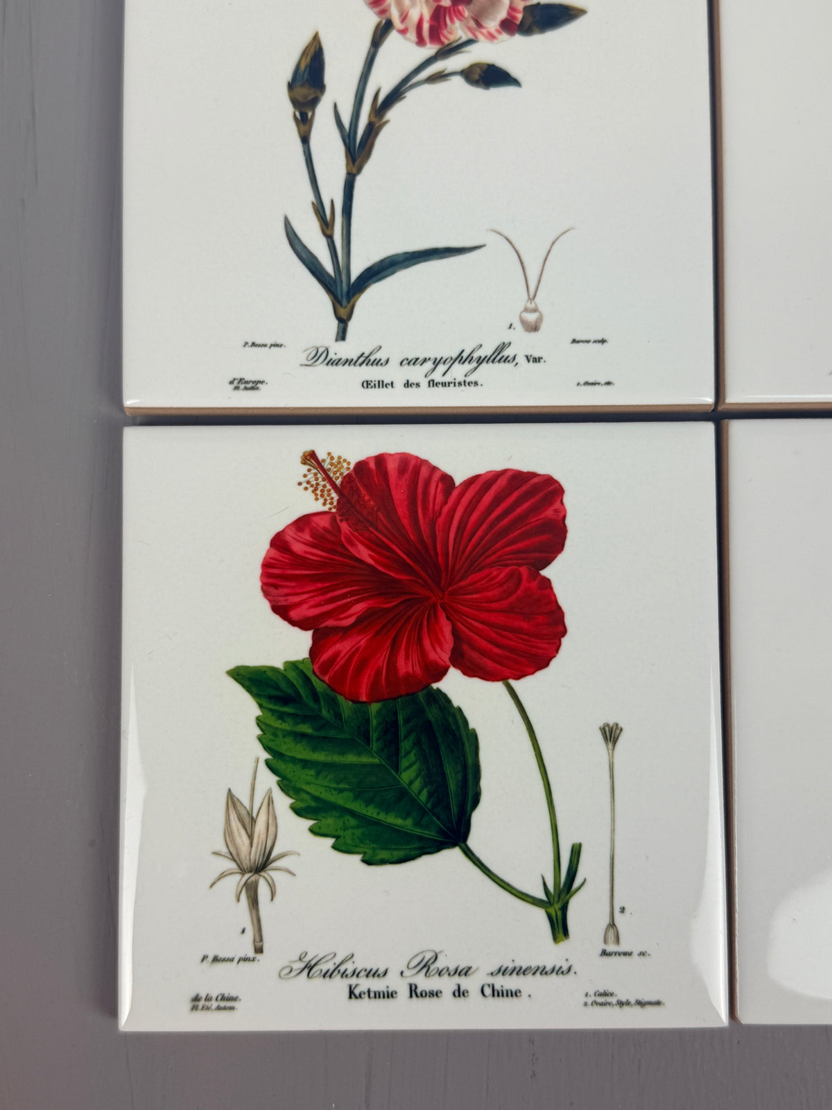 Set de azulejos  "Flores de París" de Pancrace Bessa
