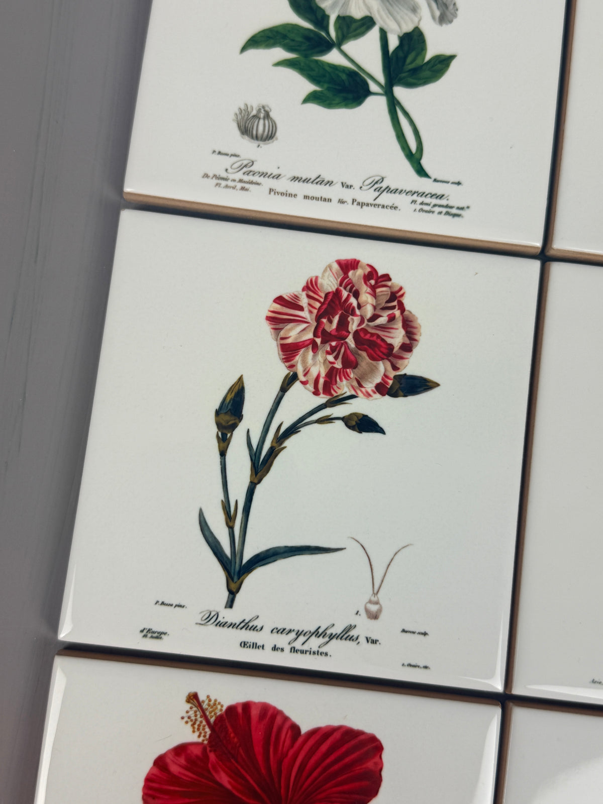 Set de azulejos  "Flores de París" de Pancrace Bessa