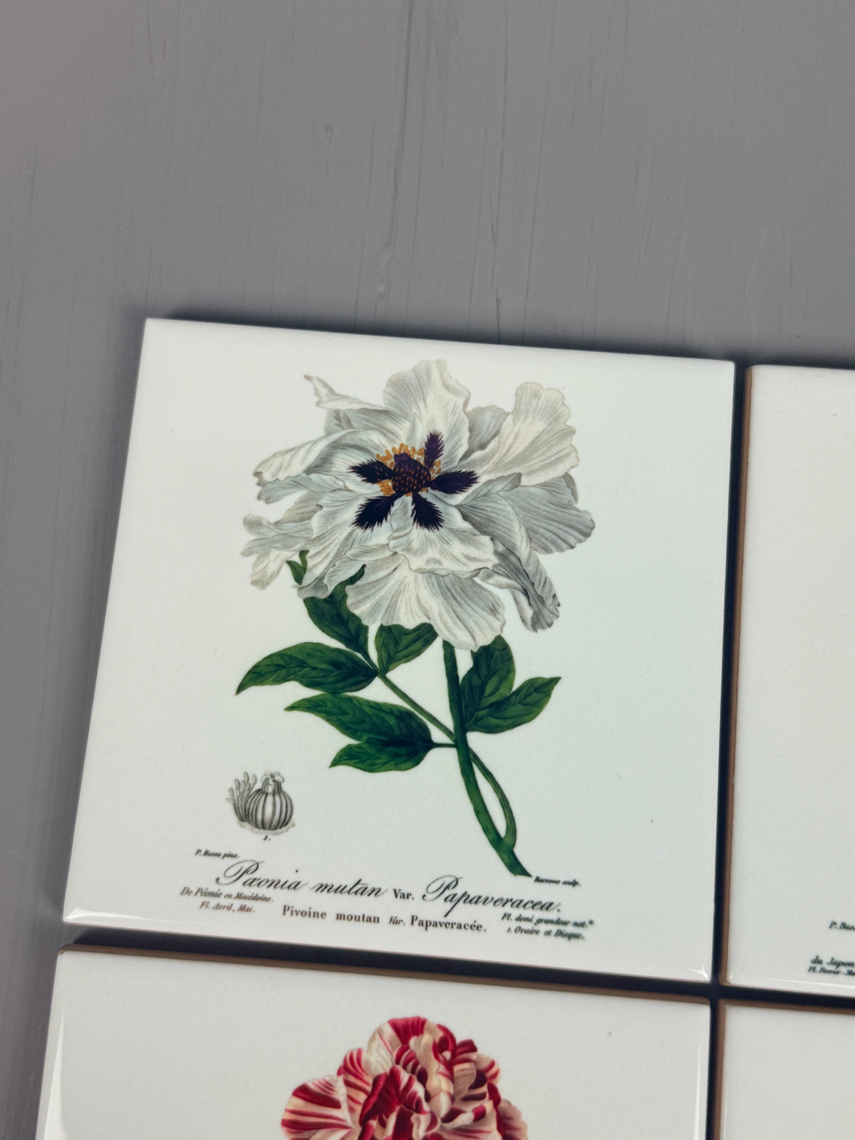 Set de azulejos  "Flores de París" de Pancrace Bessa