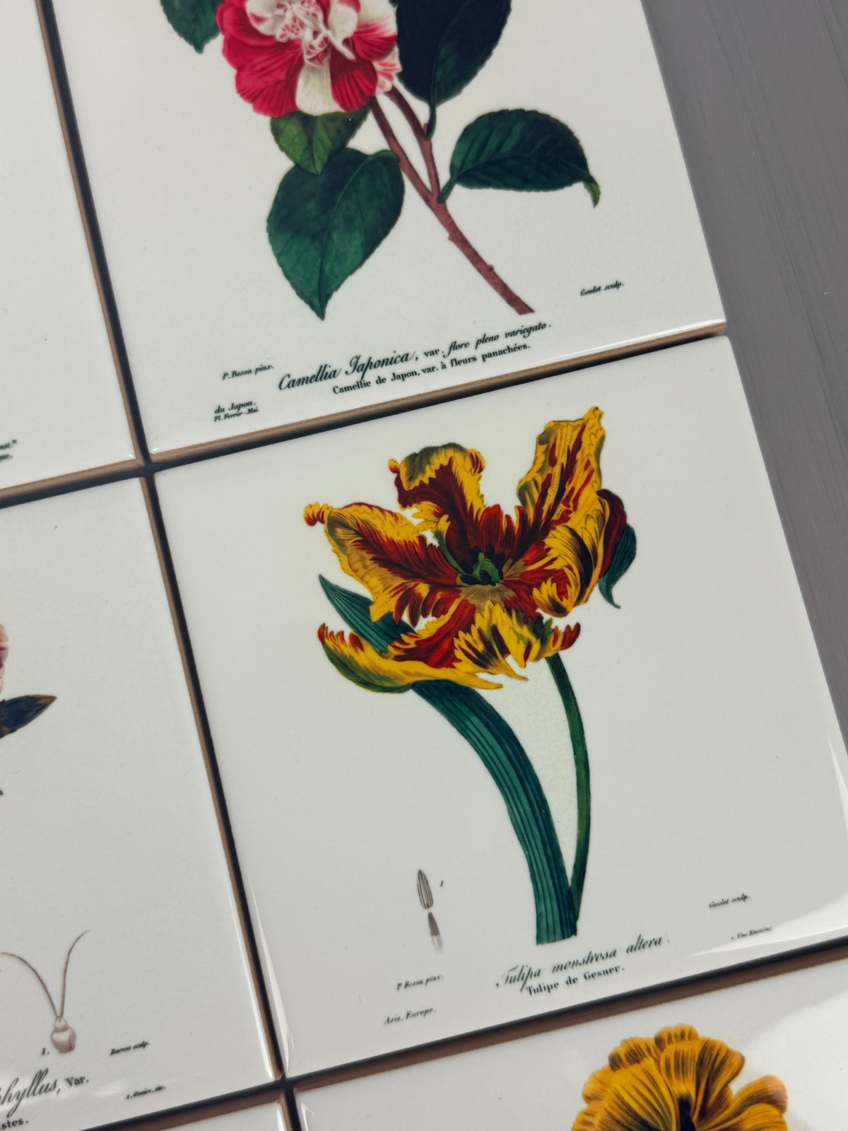 Set de azulejos  "Flores de París" de Pancrace Bessa